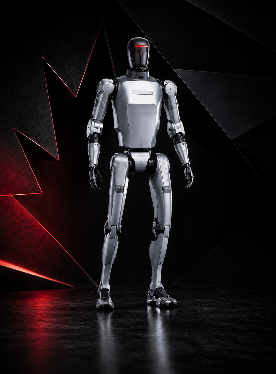Humanoid Robot